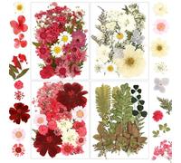 Dried Flowers, Resiners 100Pcs Pressed Flowers for Resin Soap Candle Scrapbook Supplies Card, Red Real Natural Dried Flowers Dry Leaves Kit for DIY Papper Crafts Making Jewelry Decor