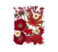 Dried Fruit Bag Set for DIY Resin Pendant Making Filling Pressed Real Natural Leaves for Bookmark Case Making 25PCS