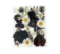 Dried Fruit Bag Set for DIY Resin Pendant Making Filling Pressed Real Natural Leaves for Bookmark Case Making 25PCS