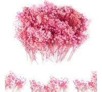 Dried Gypsophila, 100 PCS Dried Babys Breath Flowers Mini Dried Flowers Bouquet Pressed Flowers Gypsophila for Resin Wedding Card Nail Soap DIY Decoration