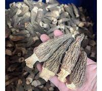 Dried Large Dehydrated Morel Mushrooms Morchella Conica k 特大羊肚菌 Free airmail (200 grams (around 100 pieces))