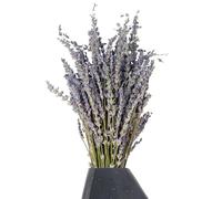 Dried Lavender Flower - Everlasting Love, Natural Dried Lavender Bunch, Laavender Flowers Symbol Of Love | DIY Floral Gift Home Office Banquet Wedding Decoration for Vase Decoration