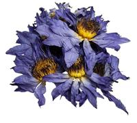 Dried Lotus Flower 20g - Edible Blue Flowers Water Lily for Cake Decorating, Herbal Tea, Cocktails, Desserts, Resin Jewelry, Candle Making, Wax Melts, Pressed Flower Art, Bath Soak & Craft Supplies