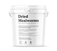 Dried Mealworms 10L Bucket - Natural High-Protein Wildlife Feed for Birds, Reptiles & Fish - 100% Pure Insect Protein - UK Packed Bulk Wild Bird Food