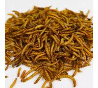 GardenersDream Dried Mealworms 2KG - Premium Food for Wild Birds