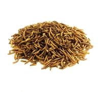 Dried Mealworms 2kg Premium Insectivorous Wild Bird Food