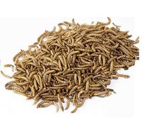 DRIED MEALWORMS 5kg 3kg 2kg 1kg 500g 200g 100g For Garden Birds Wild Birds (Brown - 100g)
