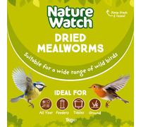 Dried Mealworms Wild Bird Feed By Nature Watch - 1kg