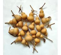 Dried Natural Gourd Bottle Small Cute Calabash Cucurbit, Finely Selected 5 cm to 7cm (20)