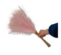Dried Pampas Grass, Artificial Pampas Grass Reed Flowers Pack of 10 Multicolor for Vase Decor Home Office(B)