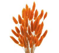 Dried Pampas Grass Decor,100Pcs 45cm Natural Dried Bunny Tail Grass Real Dried Flowers for Home Party Home Decoration Floral Arrangements Bohemian Wedding Party Home Decor Orange