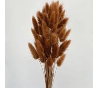 Dried Pampas Grass Decor,50Pcs 45cm Nature Bunny Rabbit Tail Grass Bouquet Wedding Party Home Decor Fluffy Pampas Christmas Floral Arrangement Brown