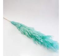 Dried Pampas Grass Reeds Plumes 140 cm 6 Colors Decorative Feathers Flower Arrangement Beach Theme Decor (Aqua)