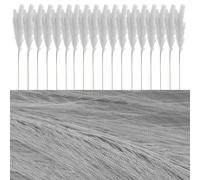 Dried Pampass Grass Artificial Pampas Grass Stems Dried Flowers for Vase Deocration 90cm (Grey, 24 Pack)