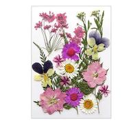 Dried Pressed Flower For Resin Molds Natural Dry Flower Leaves For Art Craft Supplies Scrapbooking Jewelry Making Phone Case Decoration