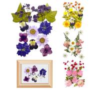 Dried Pressed Flowers, 4 Pack About 60 Pcs Real Mixed Natural Dried Flowers for Resin and Crafts, Multicolored Pressed Flower for DIY Scrapbooking, Floral Decor, Phone Case (Purple Pink White Yellow)