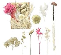 Dried & Pressed Flowers - Crafts for DIY Arts, Resin, Scrapbooking, Jewelry Making & Floral Decorations (Pink & White)