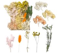 Dried & Pressed Flowers - Crafts for DIY Arts, Resin, Scrapbooking, Jewelry Making & Floral Decorations (Yellow & White)