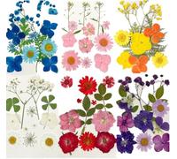 Dried Pressed Flowers for Resin 72 pieces Real Natural Pressed Flowers 6 different Types Dry Leaves Bulk Natural Herbs Kit for Scrapbooking DIY Art Crafts Epoxy Resin Jewelry Molds Candle Soap Making