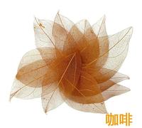 Dried Pressed Fruit Leaf Vein DIY Handmade Materials Nail Art Material for Wedding Party Home Decor Skeleton 30pcs