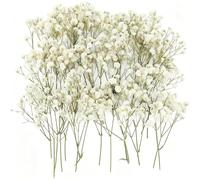 Dried Pressed Gypsophila Artificial Flowers - 100PCS Natural Baby Breath Dried, Gypsophila Mini Breath Flowers, Real Natural Gypsophila for Vase, Crafts, Resin Art Mini Mixed Floral Set for DIY, Weddi
