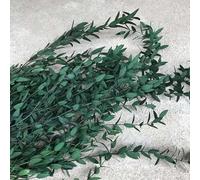 Dried Real White Eucalyptus Ruscus Stems Natural Fresh Preserved Eucalyptus Leaves Bundles for Home Wedding Party Decor DIY