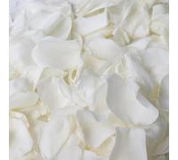 Dried Real White Rose Petals, 2.1oz Freeze Preserved Flower Petals for Valentine's Day Gifts Wedding Party Decor, Flower Girl, Dinner table Centerpieces, Bridal Shower, Flower Confetti