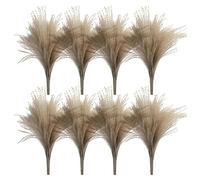 Dried Reeds Pampa Grasses Phragmites Real Small Ornamental Bunch Natural Plants for Wedding Home Decoration 50PCS dried pampas grasses