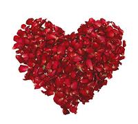 Dried Rose Petals,100 Grams Dry Rose Flower Natural Biodegradable Red Rose Petals Dry Rose Petal for Foot Bath Spa Confetti Weddings Romantic Night