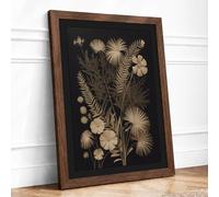 Dried Specimens Botanical Framed Wall Art Print A4 (29.7×21cm) Walnut, Wall Decor for Living Room, Bedroom, Office & Home, Ready to Hang, Art Gift