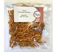 Dried Whole Real Cordyceps Mushroom Fruiting Body 45g The Lincolnshire Mushroom Co.