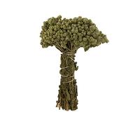 Dried Wild Oregano Bunch Qty-5 by Busy Beans