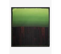 Dries Van Noten Cannabis Patchouli Graphic-print Silk Scarf 50g