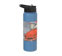 Drifting in the Sky Stainless Steel Insulated Water Bottle