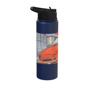 Drifting in the Sky Stainless Steel Insulated Water Bottle