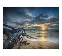 Driftwood Beach Sunset Ocean Large Wall Art Print