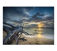Driftwood Beach Sunset Ocean Wall Art Print