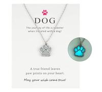 Driibubur Dog Claw Palm Luminous Foot Stainless Steel Necklace Stainless Steel Footprint Necklace Pendants Jewelry Women Sweater Chain Necklace Clavicle Chain, Stainless Steel