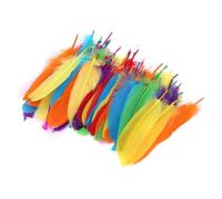 DriKou 100 Plumas de Colores, Material de decoración de Pasta para niños, manualidades de jardín de infancia, suministros de arte hechos a Mano para álbumes de recortes, diarios,