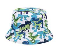 Drill Hat Children‘s Dinosaurs Pattern Double Wear Fisherman Hat Outdoor Sun Hat Woman Hat