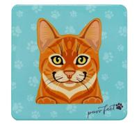 Drink Ceramic Square Coaster With Cork Bottom Match Your Pet Cute Animal Design Gift (Cat Ginger)