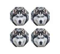 Drink Coasters Heat Resistant Leather Coaster set of 4 Blue eyed husky Coasters Desktop Protection Pad Coffee Cup Mat for Table Desk Kitchen Office