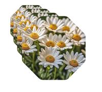Drink Coasters Set of 4 Quick-Dry Leather Coaster Floral Flowers Daisies Coasters for Drinks Coffee Cup Mat Tabletop Protection Heat Resistant Coaster for Kitchen Bar Office Home Decor