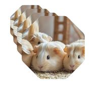 Drink Coasters Set of 4 Quick-Dry Leather Coaster Guinea Pigs Coasters for Drinks Coffee Cup Mat Tabletop Protection Heat Resistant Coaster for Kitchen Bar Office Home Decor