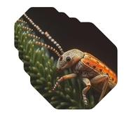 Drink Coasters Set of 4 Quick-Dry Leather Coaster Weevil on Plant Stem Coasters for Drinks Coffee Cup Mat Tabletop Protection Heat Resistant Coaster for Kitchen Bar Office Home Decor