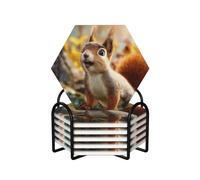 Drink Coasters Set of 6 Ceramic Coaster with Holder Funny Squirrel Coasters for Drinks Cups Mugs Mat Pads Absorbent Non-Slip Decorative Cup Coaster for Coffee Table Kitchen Bar Home Decor