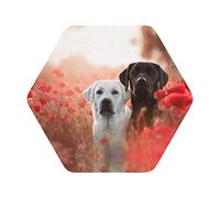 Drink Coasters Set Of 6 White Labrador Print Leather Coasters Set,Home Kitchen Use Housewarming Gifts