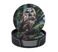 Drink Coasters with Holder Beautiful Owl Coasters 6 Pcs Round Coasters for Drinks Mugs Mat Cup Pad Leather Coasters for Coffee Table Kitchen Dining Room Bar Decor 3.9 Inch