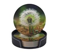 Drink Coasters with Holder Sand Dandelion Coasters 6 Pcs Round Coasters for Drinks Mugs Mat Cup Pad Leather Coasters for Coffee Table Kitchen Dining Room Bar Decor 3.9 Inch