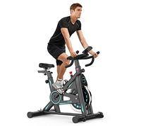Dripex Exercise Bike for Home Use, Magnetic Resistance Indoor Cycling Stationary Bike for Home Training with 330 LBS Weight Capacity (green)